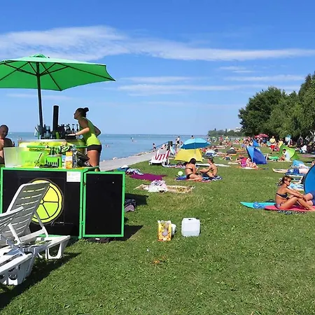 In - Balaton 35466 *