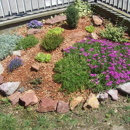 Apartment In Siofok/balaton 35466